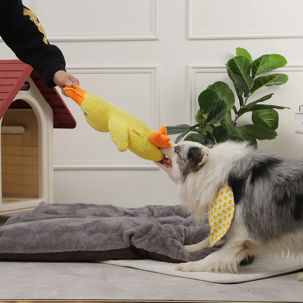 Duck Chew Sounding Toy Dogs