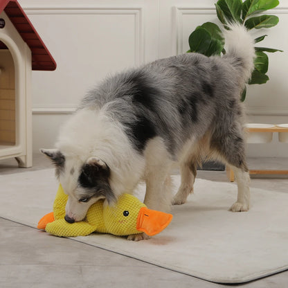 Duck Chew Sounding Toy Dogs