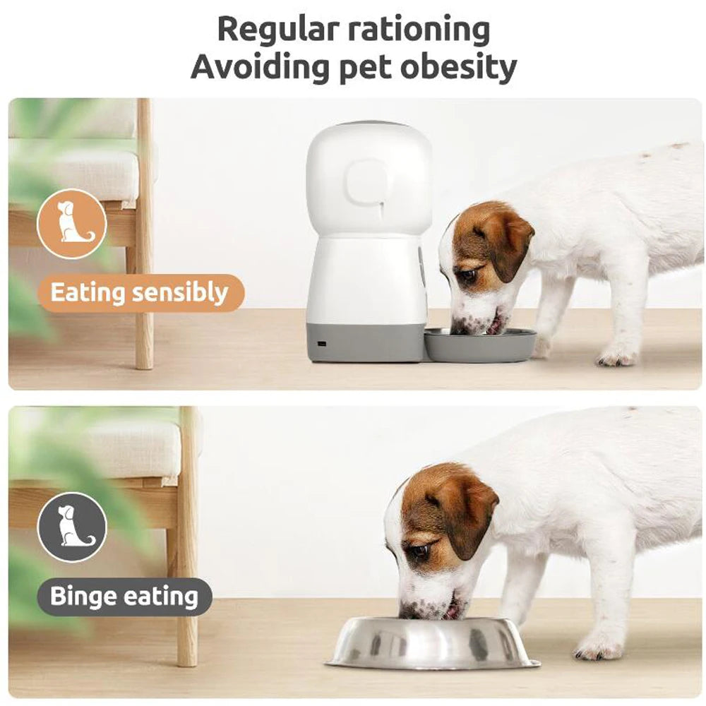 Automatic Pet Feeder