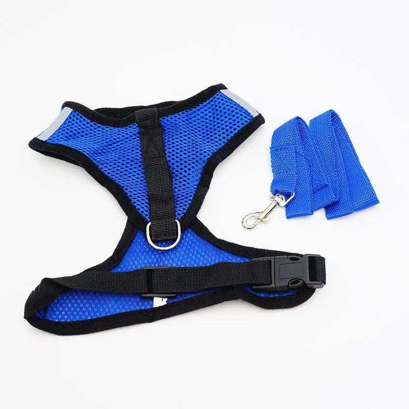 Pet Walking Chest Rope Collar