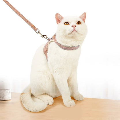 Pets Leash Cute Vest