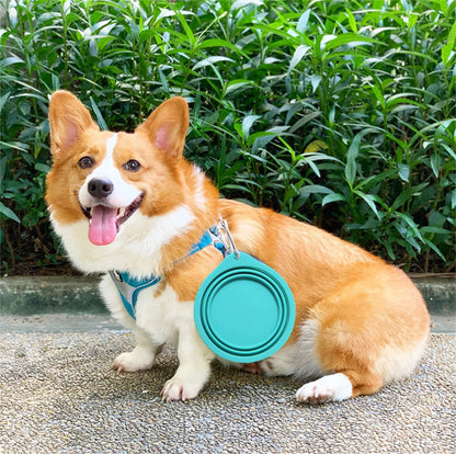 Large Collapsible Dog Pet Folding Silicone Bowl