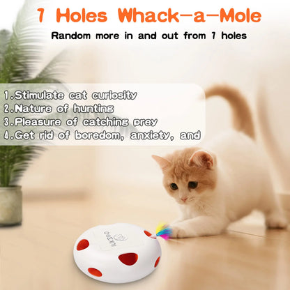 Interactive Cat Toys for Indoor Cats