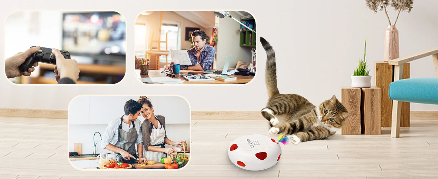 Interactive Cat Toys for Indoor Cats