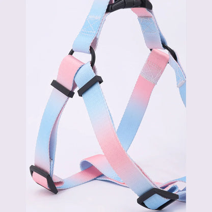 Colourful pet harness with leash