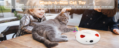 Interactive Cat Toys for Indoor Cats