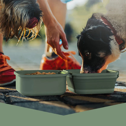 Travel Dog Bowl