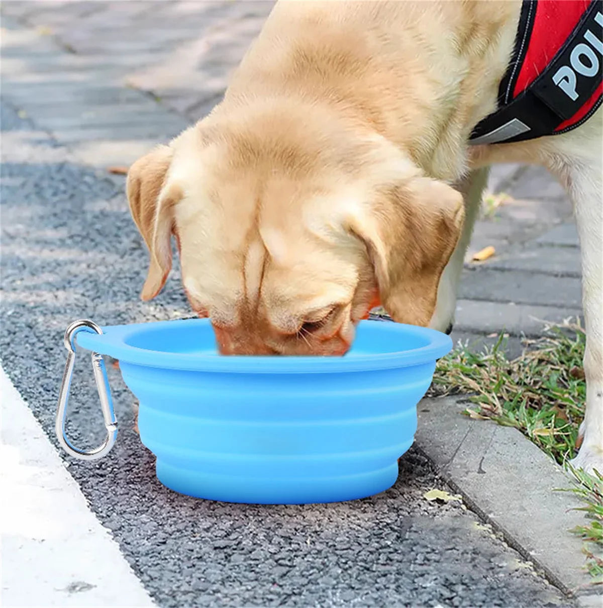 Large Collapsible Dog Pet Folding Silicone Bowl