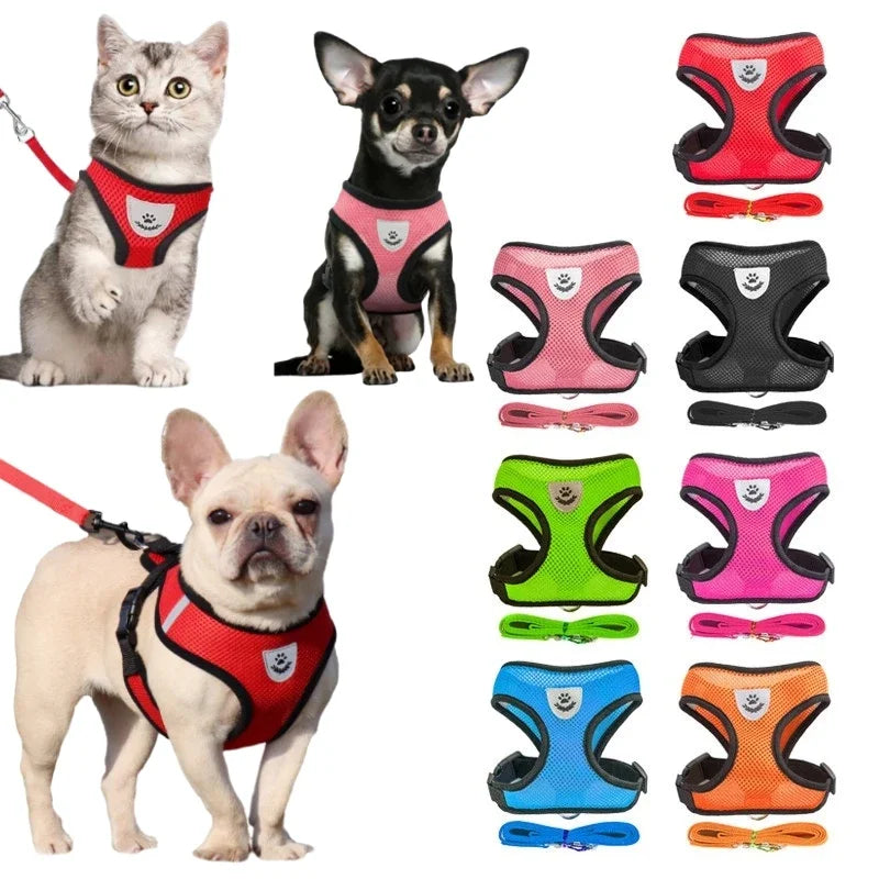 Pet Walking Chest Rope Collar